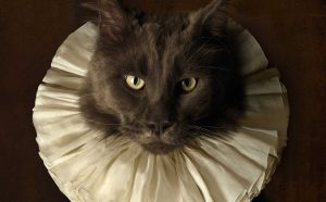 Marie Cecile Thijs, Cat with White Collar I, 2009