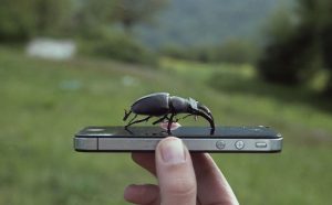 Rachele Maistrello, Pennabilli, Black depth, 2018