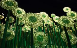 Van Gogh Dreams © Maartje Strijbis, Van Gogh Museum