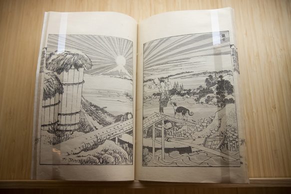 HOKUSAI AL MAO. Otto libri del Maestro esposti nella Galleria Giapponese del Museo d’Arte Orientale. Torino, fino al 21 ottobre 2018