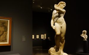 Michelangelo Buonarroti, Apollo-David. Photo by Regan Vercruysse, fonte Flickr