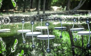 Marco Barotti, Swans, Artbat Fest, Almaty (Kazakistan), 2018