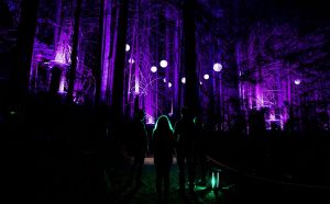 Vallea Lumina installazione storytelling immersivo bosco Canada