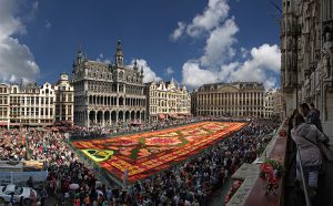 bruxelles flowert carpet 2014