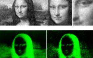 gioconda leonardo da vinci la sapienza roma e.coli