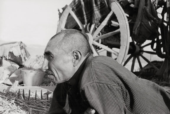Giacomo Pozzi-Bellini, Uno spigolatore, Sicilia, 1940-1941 © Eredi Giacomo Pozzi Bellini