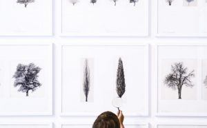 Architettura degli Alberi London Design Biennale 2018