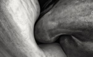 Daniele Duca Amanti Piccanti fotografia peperoni