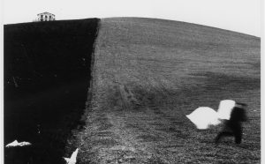 Mario Giacomelli, da "Presa di Coscienza sulla Natura", 1977-2000, La campagna marchigiana
