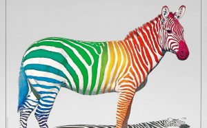 Marvin Mattelson per School of Visual Arts, New York, 1982