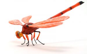 Wesley Fleming, Vivid Red Dragonfly, 2015