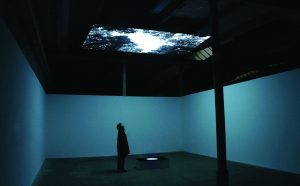 Youki Hirakawa, Vanished Tree, video installazione, 2012, Werkschau Spinnerei, Leipzig