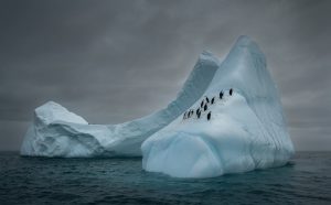 Mariusz Potocki, Travelers, 2018 © Mariusz Potocki