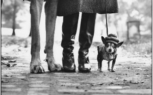Elliott Erwitt, USA. New York. 1974 © Elliott Erwitt/MAGNUM PHOTOS