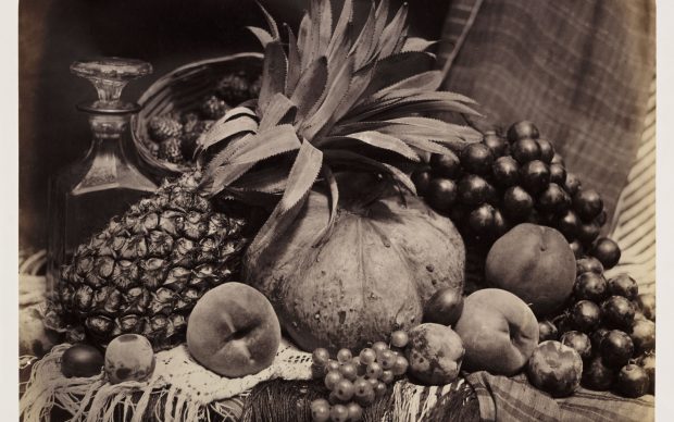 Roger Fenton, Still Life with Fruit and Decanter, 1860, Albumen print © The RPS Collection at the Victoria and Albert Museum, London