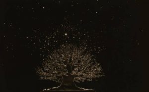 Yamamoto Masao, Bonsai: Microcosm Macrocosm