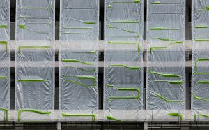 PhotoSynthEtica_ecoLogicStudio ©NAARO