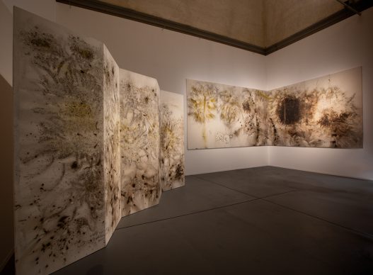 Exhibition view of Flora Commedia: Cai Guo-Qiang at the Uffizi, Florence, 2018 - Photo by Wen-You Cai, courtesy Cai Studio