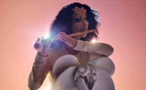 Bjork. Photo by Warren Du Preez & Nick Thornton Jones