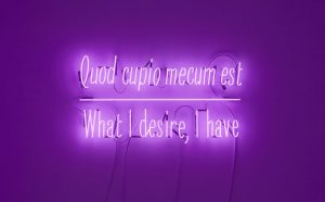 Joseph Kosuth, Maxima Proposito (Ovidio), 2017