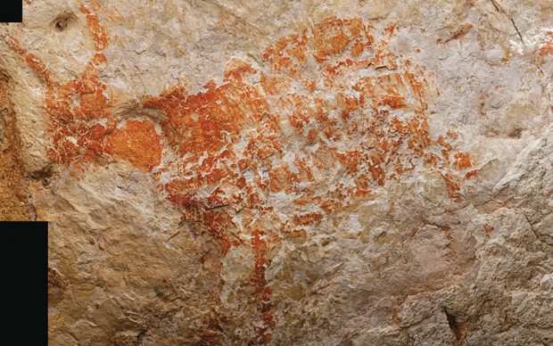 Pittura rupestre di un toro scoperta nella caverna di Lubang Jeriji Saléh Borneo, Indonesia, risalente a 40mila anni fa