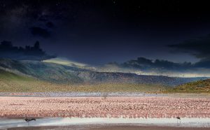 Stephen Wilkes DAY TO NIGHT