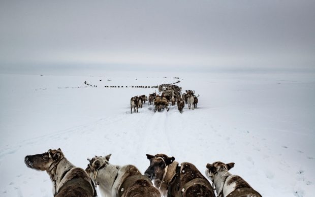 Yamal Peninsula, April 2018 © Yuri Kozyrev - NOOR for Fondation Carmignac