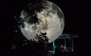 Museum_of_the_Moon_photo by Luke Jerram