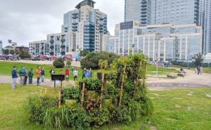 Birdlink scultura piante brooklyn uccelli migratori