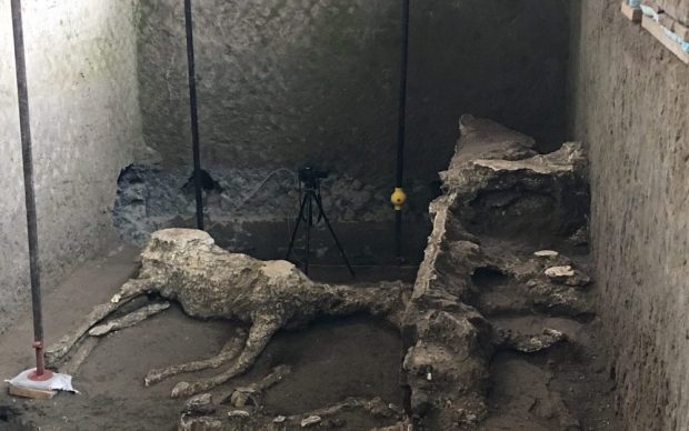 pompei cavallo generale bardatura sito archeologico scoperta