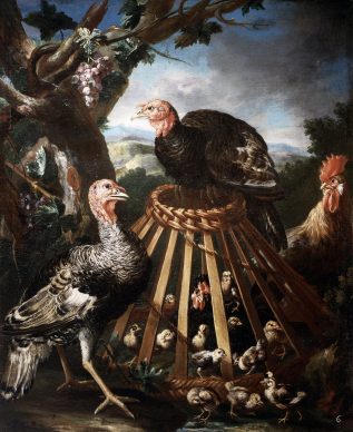 Giovanni Maria Crivelli, Tacchini, gallo e pulcini all'aperto, olio su tela, 155 x 117 cm. Bergamo, Accademia Carrara