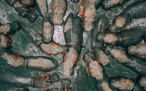 HUNGRY HIPPOS by zekedrone fotografia drone concorso