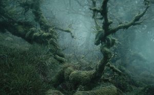 Neil Burnell, dalla serie Mystical, fonte Behance