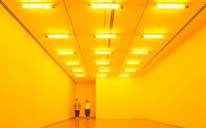 Olafur Eliasson 1997. Monofrequency lamps. Dimensions variable. © Olafur Eliasson