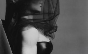 Robert Mapplethorpe Lisa Lyon, 1982 Gelatin silver print, 48.7 x 38.7 cm Solomon R. Guggenheim Museum, New York Gift, The Robert Mapplethorpe Foundation 93.4294 © Robert Mapplethorpe Foundation. Used by permission.