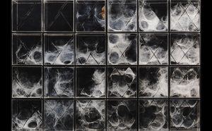 XenoDerma © Urban Morphogenesis Lab The Bartlett UCL