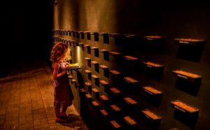 Amar Kanwar. 272 Varieties of Indigenous Organic Rice Seeds, veduta dell'installazione alla Kochi Muziris Biennale, India, 2012