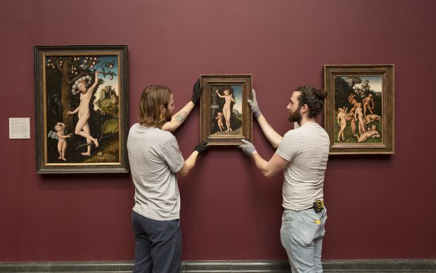 The installation of the newly acquired Venus and Cupid by Lucas Cranach the Elder ( 1529), The National Gallery, 20 Feb 2019 © The National Gallery, London