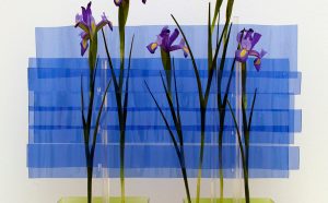 Simbiosi n°2, 2004-2005 © Andrea Branzi ©Galerie Clio Calvi (Milan)