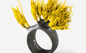 Paolo Marcolongo, Grass Ring Silver, 2016, Photo by Alberto Petrò