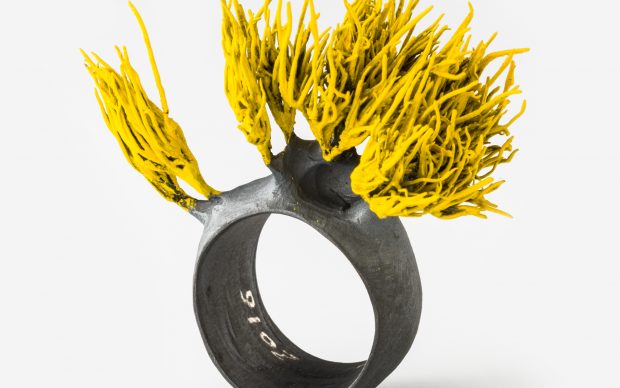 Paolo Marcolongo, Grass Ring Silver, 2016, Photo by Alberto Petrò