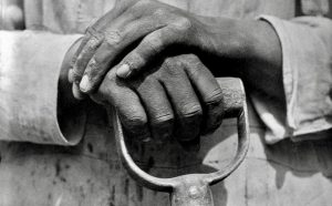 Tina Modotti, Le mani di un lavoratore dell'edilizia, Messico, 1926