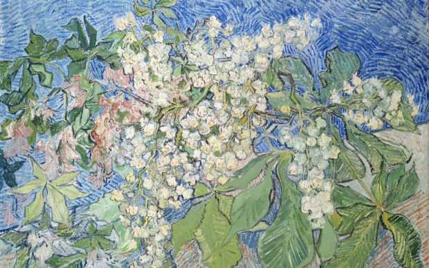 Vincent van Gogh, Branches de marronniers en fleur, 1890, huile sur toile, 73 x 92 cm Collection Emil Bührle, Zurich © SIK-ISEA, Zurich (J.-P. Kuhn)