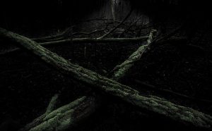 #3 Nel Buio si Cela la Luce, photo by Erminio Annunzi ©