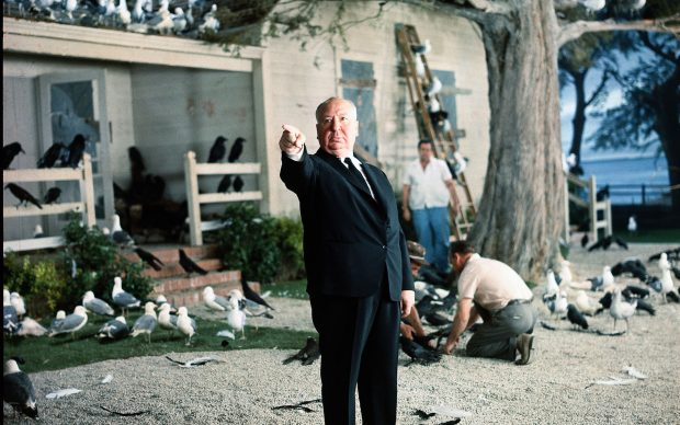 Alfred Hitchcock sul set del film Uccelli, 1963 © Universal Pictures