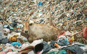 Nico Löpez Bruchi, Crap