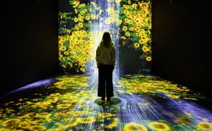 Installation view, mostra Tomorrow is the Question, ARoS Aarhus Art Museum, 2019, photo by Anders Sune Berg