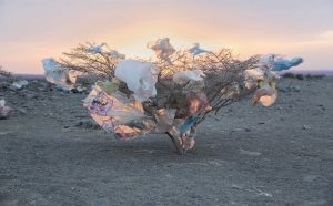 JOHN STANMEYER mostra Planet or Plastic National Geographic