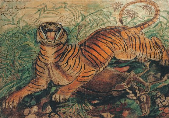 Antonio Ligabue, Tigre reale (Bengal tiger), Undated (1941), China and wax crayons on paper with a header by the San Lazzaro Psychiatric Hospital of Reggio Emilia, 36 x 50cm, Private collection ©
