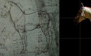 Leonardo da Vinci Immaginario Palazzo Reale Milano